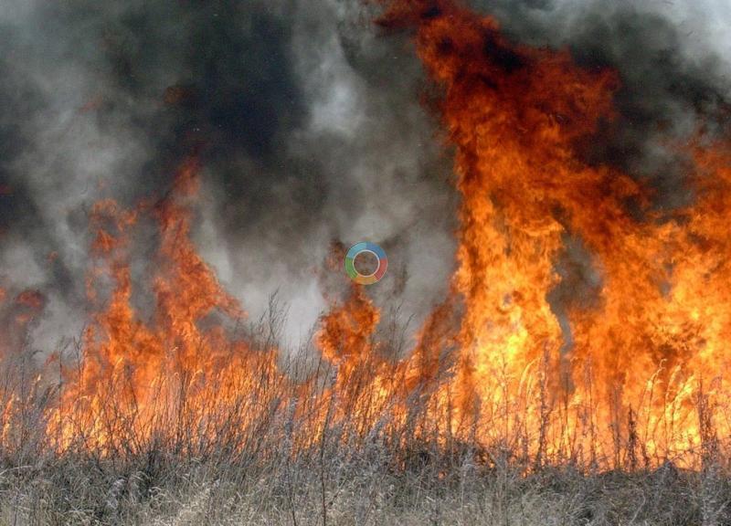 Горить суха трава. Лише за декілька днів рятувальники загасили більше двадцяти пожеж (відео)