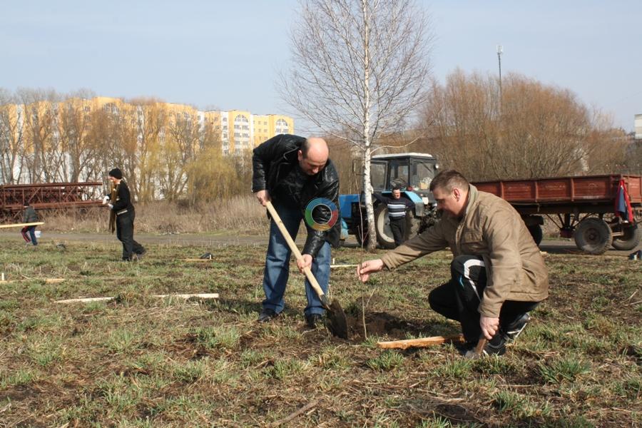 Посадовці висадили сквер (відео)