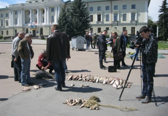 8 травня минулого року на хмельницький майдан Незалежності привезли дохлу рибу