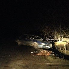 На Красилівщині п'яний водій збив двох пішоходів: один загинув