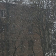 Фото дня: у Хмельницькому випав березневий сніг