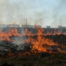 У Хмельницькому пожежники гасили кілька гектарів сухої трави