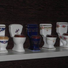 Подорожуємо Україною. Музей історії туалету: 500 мініатюрних унітазів і 5 цікавих фактів про гігієну